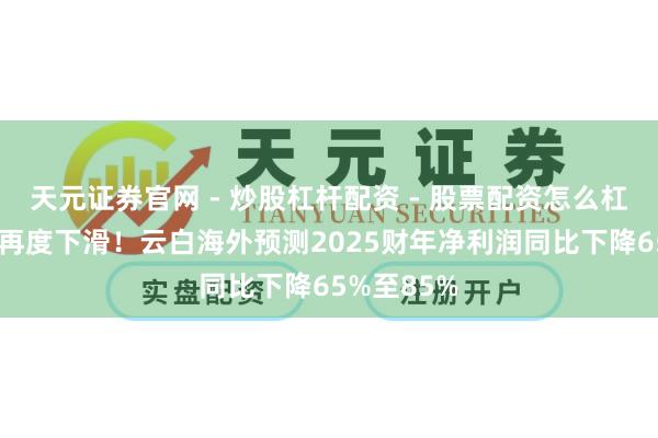 天元证券官网 - 炒股杠杆配资 - 股票配资怎么杠杆 净利润再度下滑！云白海外预测2025财年净利润同比下降65%至85%