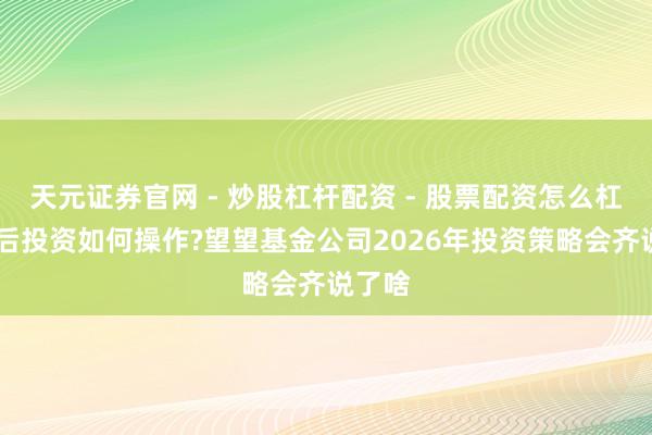 天元证券官网 - 炒股杠杆配资 - 股票配资怎么杠杆 节后投资如何操作?望望基金公司2026年投资策略会齐说了啥