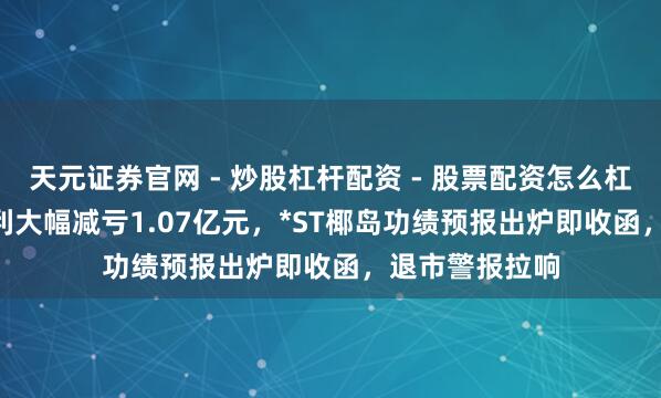 天元证券官网 - 炒股杠杆配资 - 股票配资怎么杠杆 2025年净利大幅减亏1.07亿元，*ST椰岛功绩预报出炉即收函，退市警报拉响