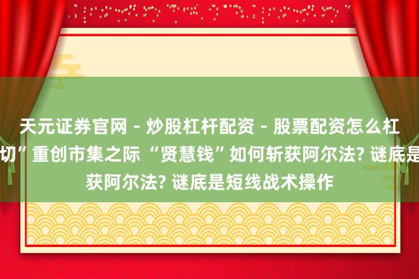 天元证券官网 - 炒股杠杆配资 - 股票配资怎么杠杆 “AI颠覆一切”重创市集之际 “贤慧钱”如何斩获阿尔法? 谜底是短线战术操作