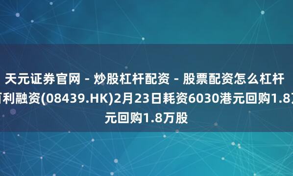 天元证券官网 - 炒股杠杆配资 - 股票配资怎么杠杆 新百利融资(08439.HK)2月23日耗资6030港元回购1.8万股