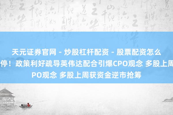 天元证券官网 - 炒股杠杆配资 - 股票配资怎么杠杆 千亿巨头涨停！政策利好疏导英伟达配合引爆CPO观念 多股上周获资金逆市抢筹