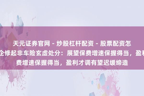 天元证券官网 - 炒股杠杆配资 - 股票配资怎么杠杆 多家上市险企修起非车险玄虚处分:展望保费增速保握得当,盈利才调有望迟缓缔造