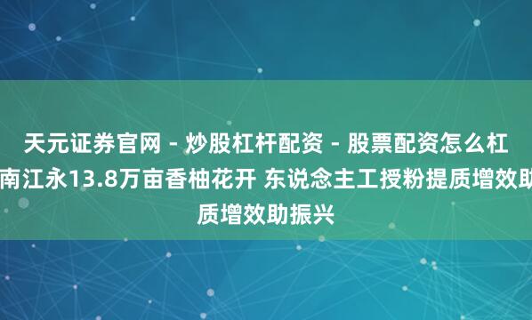 天元证券官网 - 炒股杠杆配资 - 股票配资怎么杠杆 湖南江永13.8万亩香柚花开 东说念主工授粉提质增效助振兴