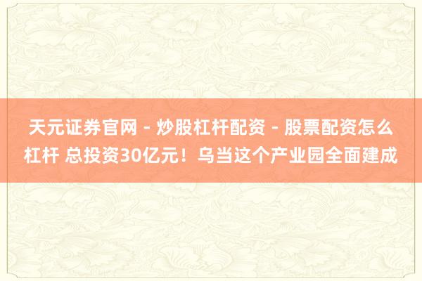 天元证券官网 - 炒股杠杆配资 - 股票配资怎么杠杆 总投资30亿元!乌当这个产业园全面建成