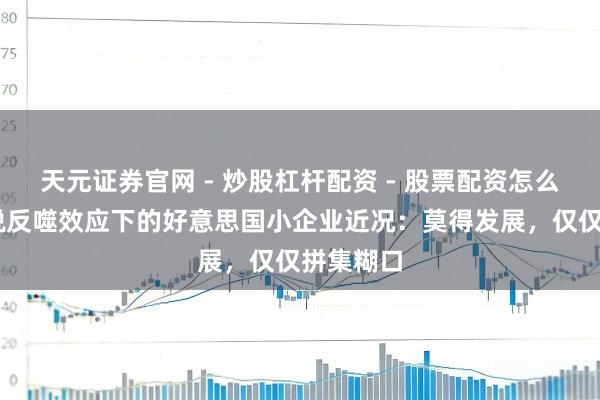 天元证券官网 - 炒股杠杆配资 - 股票配资怎么杠杆 关税反噬效应下的好意思国小企业近况：莫得发展，仅仅拼集糊口