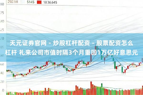 天元证券官网 - 炒股杠杆配资 - 股票配资怎么杠杆 礼来公司市值时隔3个月重回1万亿好意思元