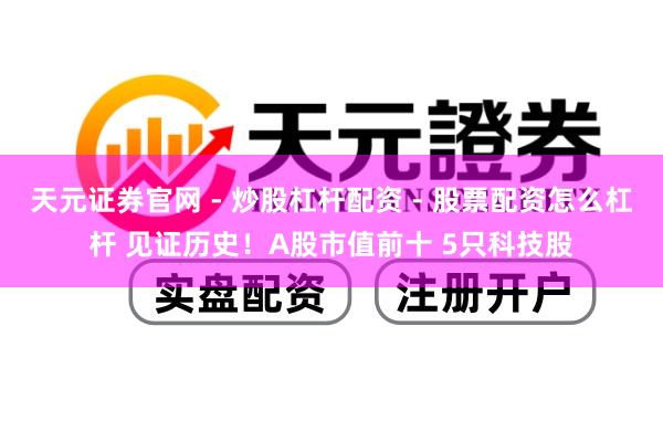 天元证券官网 - 炒股杠杆配资 - 股票配资怎么杠杆 见证历史!A股市值前十 5只科技股