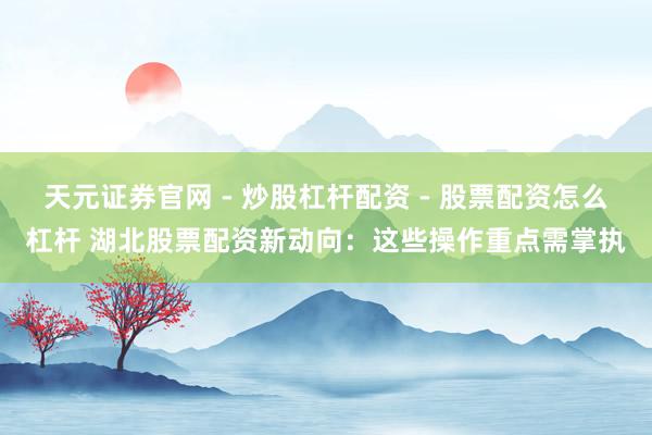 天元证券官网 - 炒股杠杆配资 - 股票配资怎么杠杆 湖北股票配资新动向：这些操作重点需掌执