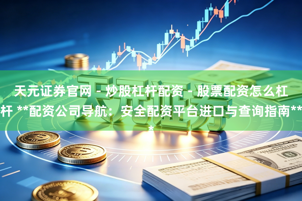 天元证券官网 - 炒股杠杆配资 - 股票配资怎么杠杆 **配资公司导航：安全配资平台进口与查询指南**
