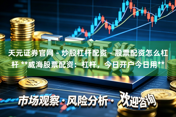 天元证券官网 - 炒股杠杆配资 - 股票配资怎么杠杆 **威海股票配资：杠杆，今日开户今日用**